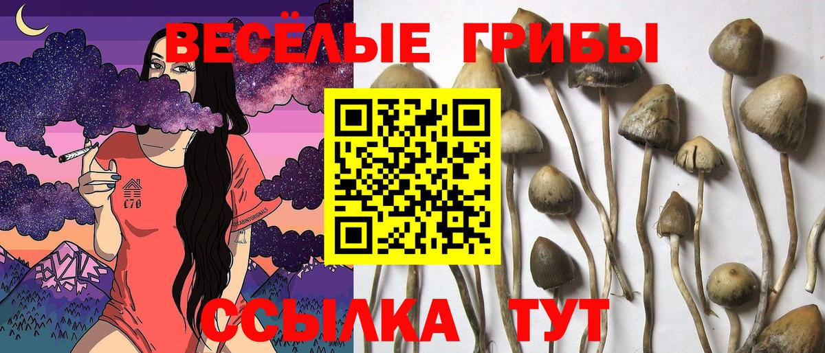 Галлюциногенные грибы ЛСД Таганрог