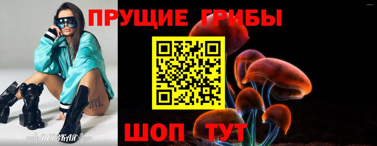 Галлюциногенные грибы GOLDEN TEACHER  Вход с VPN  Псилоцибиновые грибы мухоморы  Таганрог 